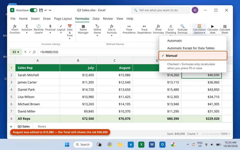 Calculation Options on the Formulas tab with Manual checked instead of Automatic