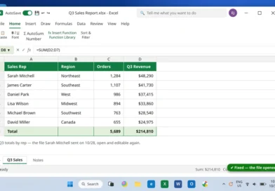 Excel file opened successfully showing the spreadsheet after the fixes