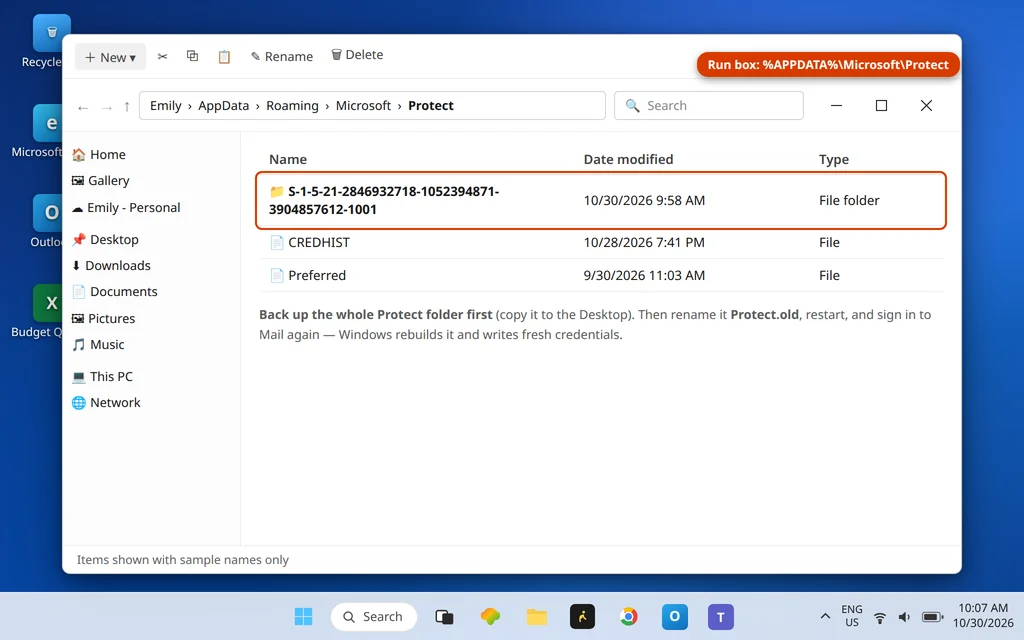 File Explorer showing the Microsoft Protect folder under AppData Roaming with its contents selected