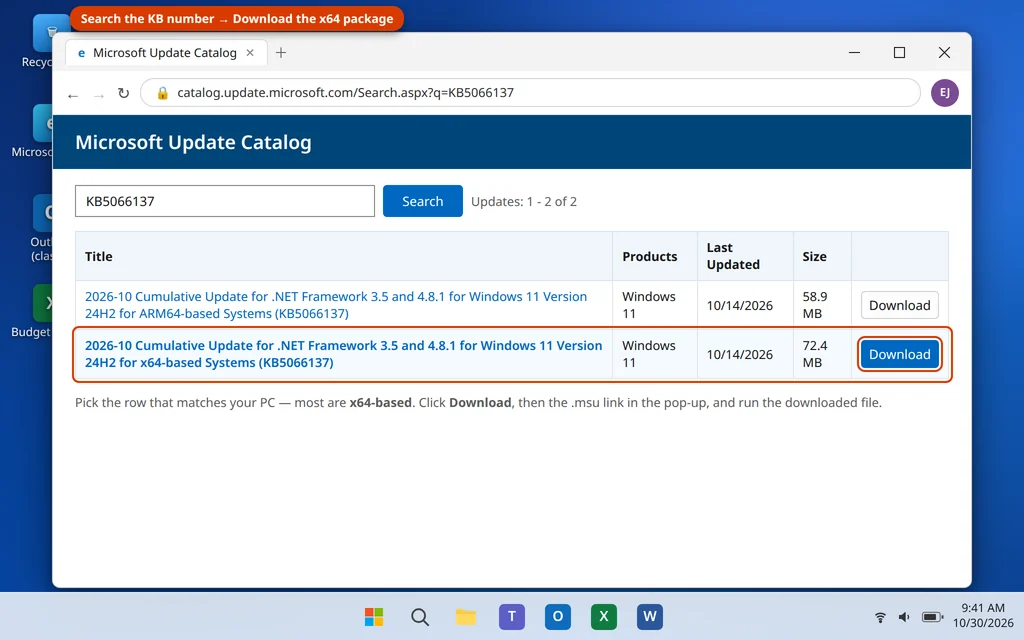 Microsoft Update Catalog search results with a Download button for a .NET Framework update for Windows 11